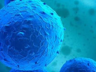 達(dá)博細(xì)胞治療新藥——自體自然殺傷細(xì)胞注射液（E10H） 獲得國家藥監(jiān)局頒發(fā)的臨床試驗(yàn)批件