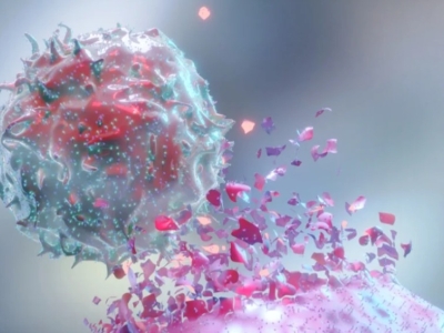 NK細(xì)胞與T細(xì)胞區(qū)別