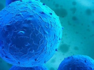 NK細(xì)胞與T細(xì)胞：細(xì)胞核里的“免疫密碼”差異