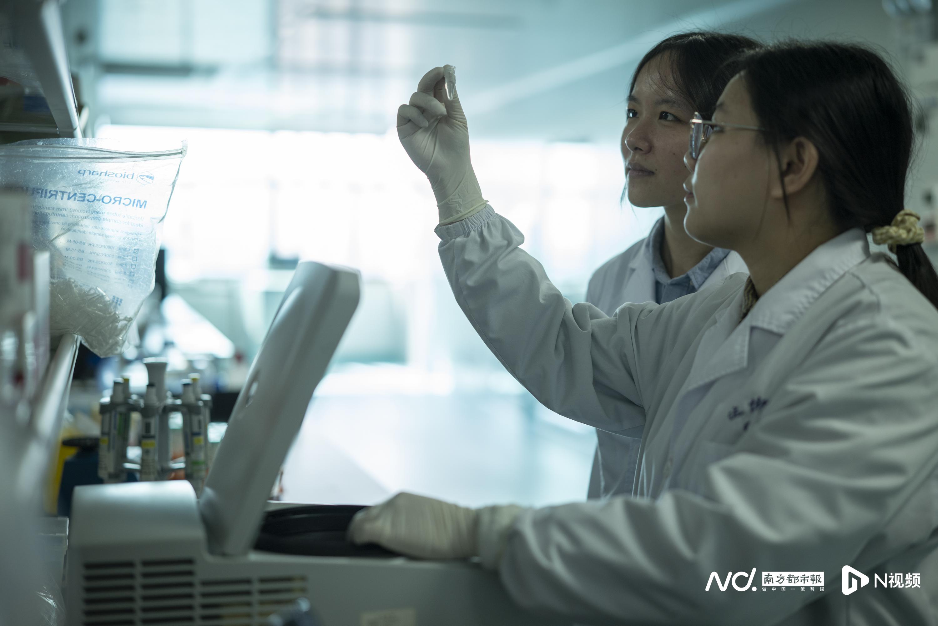 和同事一起工作的田爍