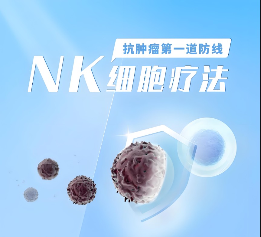 NK細胞療法